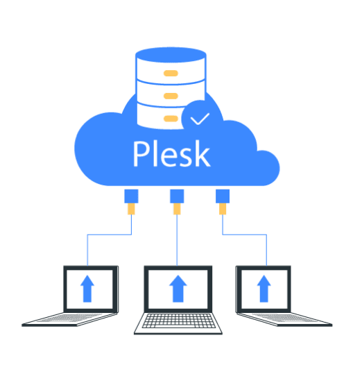 Plesk Hosting Services 