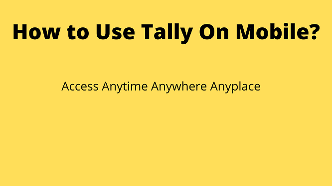how to paste in tally 7.2