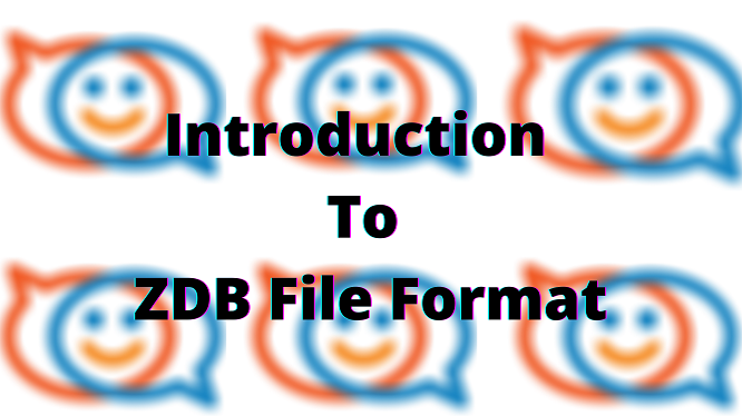 What is a ZDB file